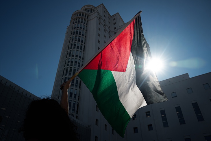 «Продолжает вестись большая игра»: востоковед оценила призыв глав МИД 15 стран к признанию Палестины