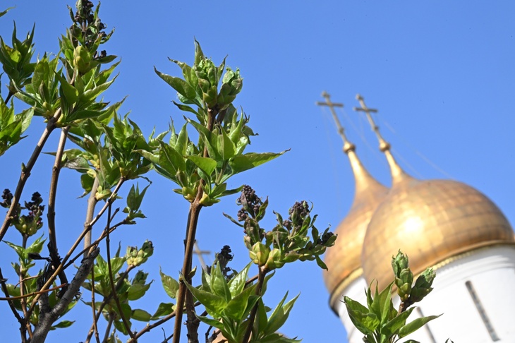 Религиозный туризм на Кубани: какие храмы и монастыри стоит посетить в Краснодарском крае Религиозный туризм на Кубани: какие храмы и монастыри стоит посетить в Краснодарском крае