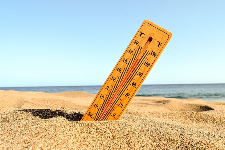 Аномальная жара накроет Москву и область в четверг