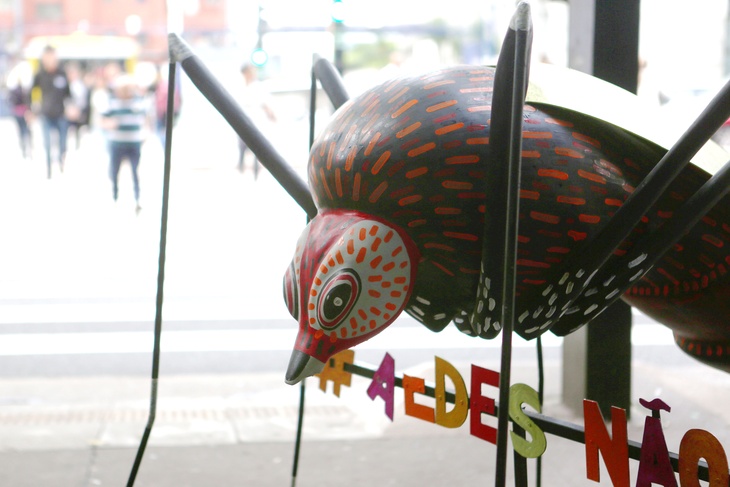 Врач назвала 12 стран, где отдых может омрачить вирус чикунгунья