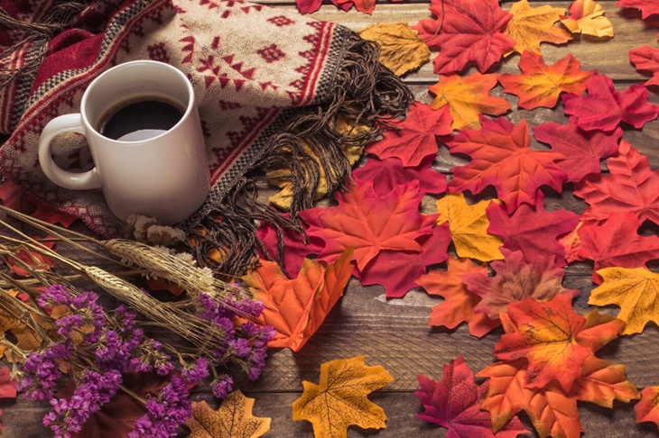 Россиянам назвали самые выгодные месяцы для отпуска осенью