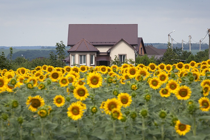 «Он вообще не про это»: эксперт прокомментировала закон о якобы запрете бизнеса на дачах 