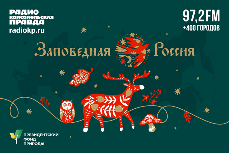 В программе «Заповедная Россия» рассказываем вам о редких видах животных и удивительных людях, их сохраняющих.