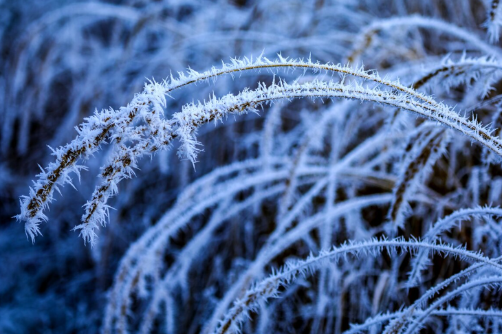 Морозы до -19 градусов ожидаются в столице на этой неделе