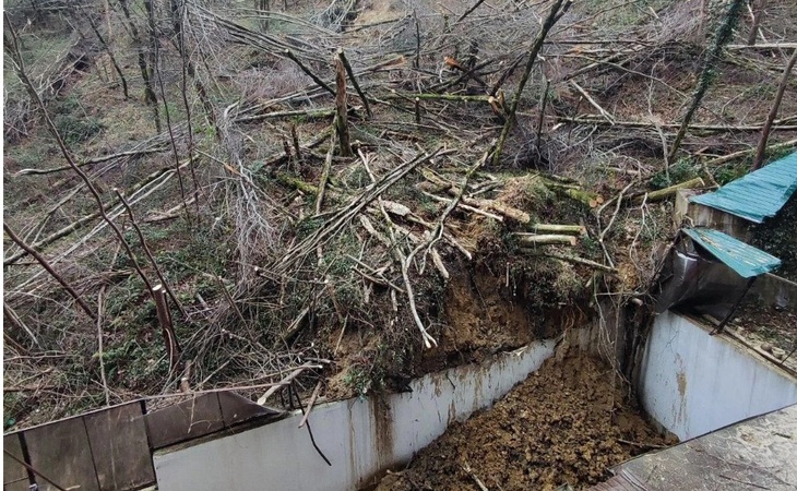 Жители Адлера попросили о помощи из-за оползня, который может обрушить дом