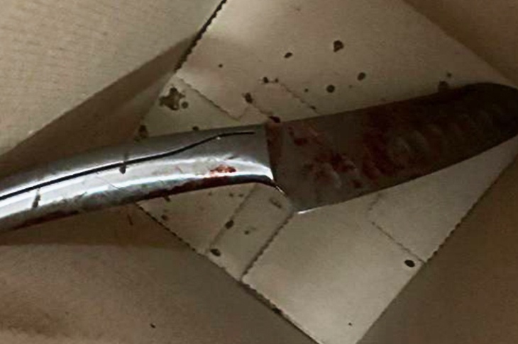 Стала известна причина нападения москвича с ножом на своих жену и ребенка