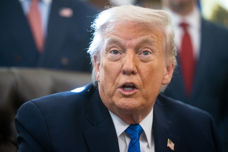 Трамп потребовал половину прав собственности на мост между США и Канадой Трамп потребовал половину прав собственности на мост между США и Канадой