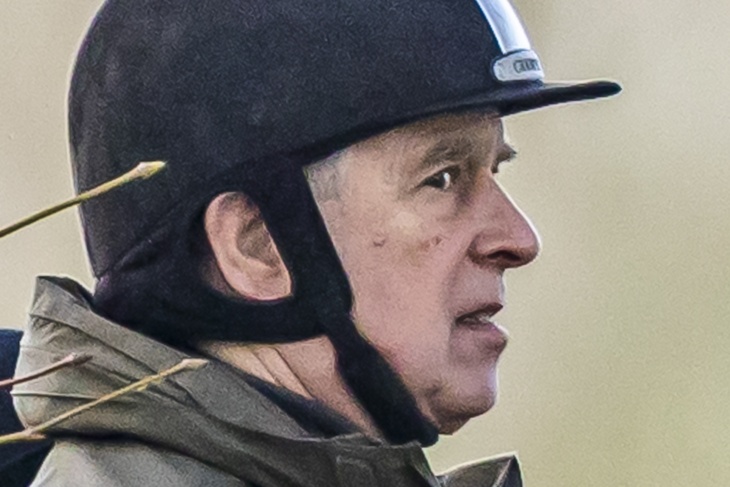 Брата короля Великобритании задержали по делу финансиста Джеффри Эпштейна