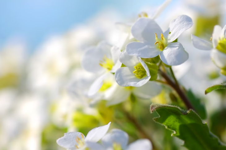 Весна в Москве может начаться в конце февраля 