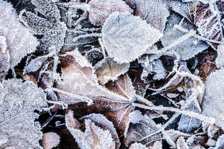 Аномальные морозы придут в Москву на этой неделе Аномальные морозы придут в Москву на этой неделе