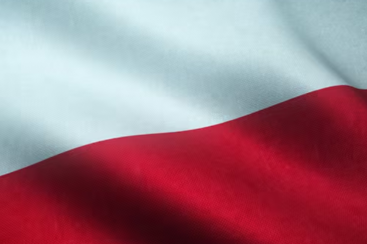 «Гиена Европы»: эксперт о планах Польши потребовать от России репарации