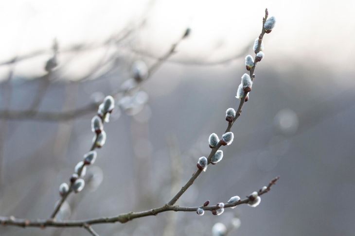 Синоптик рассказал, какой погоды ждать в Москве и области в последнюю неделю февраля