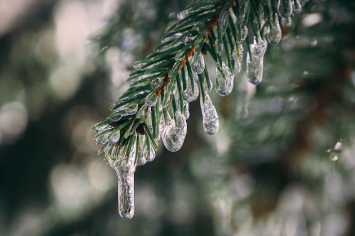 Ледяной дождь ожидается в Москве на этой неделе