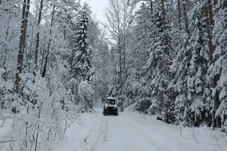 Эксперт по ЖКХ рассказал, чем обернутся обильные снегопады в Москве