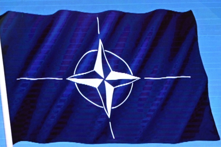 Эксперт объяснил, почему Турция и другие члены НАТО действуют в обход интересов США