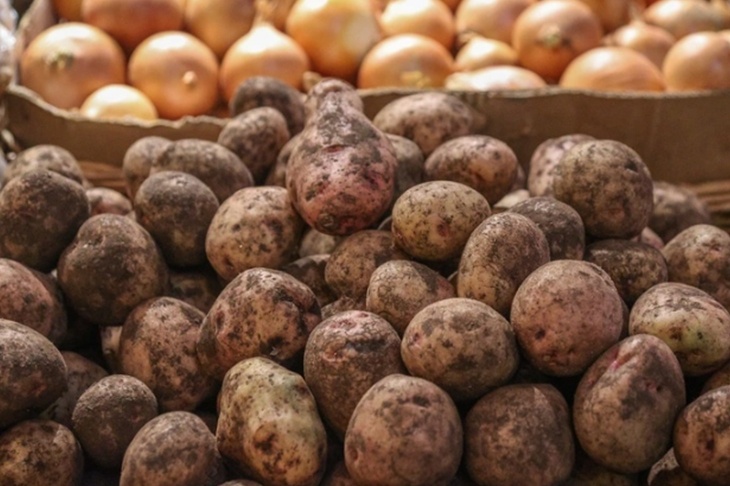 Агроном назвал главный секрет большого урожая картофеля на даче