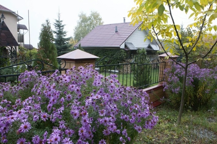 Россиянам рассказали, с чего начать подготовку участка к дачному сезону