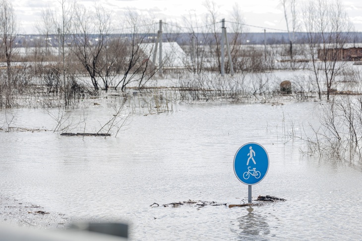 «Очень прилично»: гидролог назвал регионы, которым грозят паводки «Очень прилично»: гидролог назвал регионы, которым грозят паводки