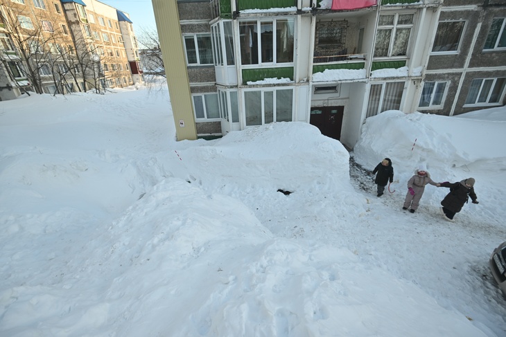 «Таких семей меньше не становится»: Волынец объяснила рост числа безнадзорных и беспризорных детей