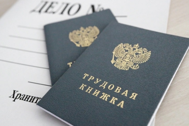В Думе назвали самое неприятное последствие ошибок в трудовой книжке 