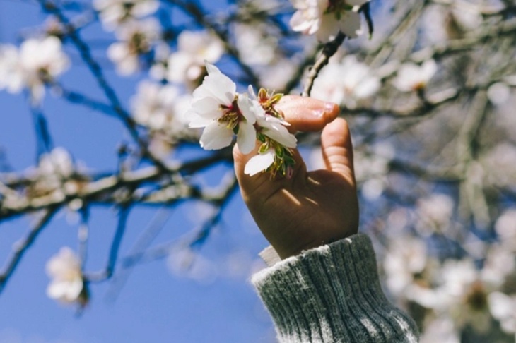 Тепло и солнце ждут жителей Москвы почти всю вторую половину марта Тепло и солнце ждут жителей Москвы почти всю вторую половину марта