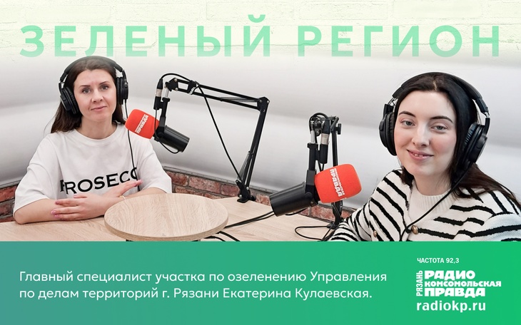 О благоустройстве города и озеленении рассказала сотрудник Управления по делам территорий Рязани 