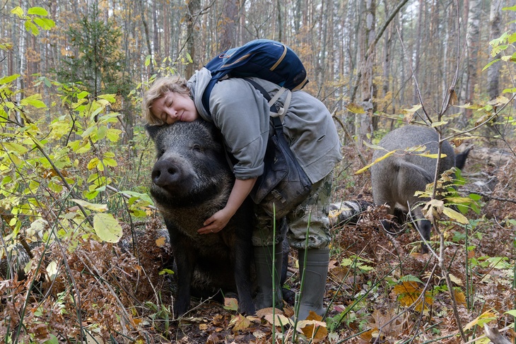 Мама для кабаненка