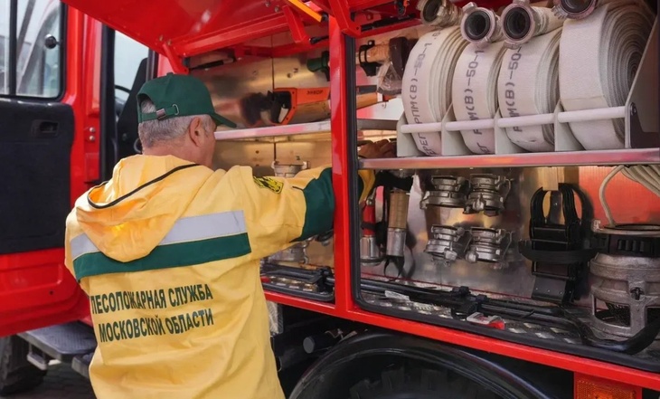 В 2026 году лесному хозяйству Подмосковья передадут 120 новых спецмашин