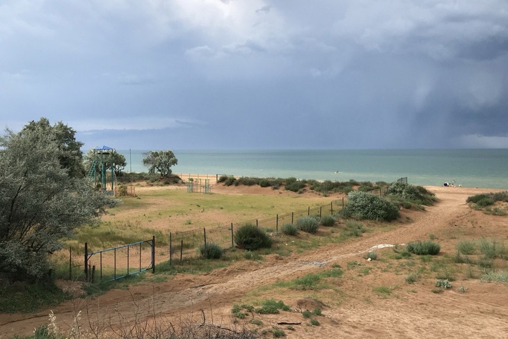 Грязевые вулканы и цветущие лотосы: что посмотреть в Темрюке