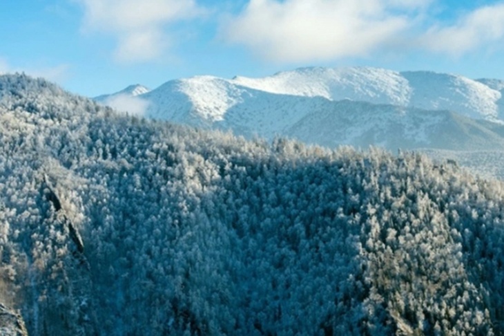 В Красноярском крае возобновили поиски пропавшей семьи Усольцевых