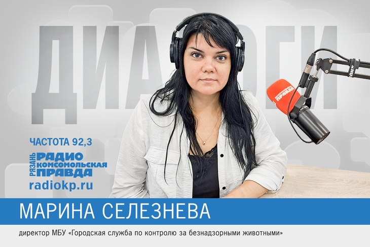 О пристройстве безнадзорных животных в Рязани рассказала Марина Селезнева О пристройстве безнадзорных животных в Рязани рассказала Марина Селезнева