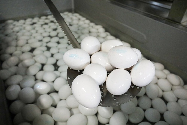 Дезсредство для обработки яиц. Мыть или не мыть яйца перед хранением?